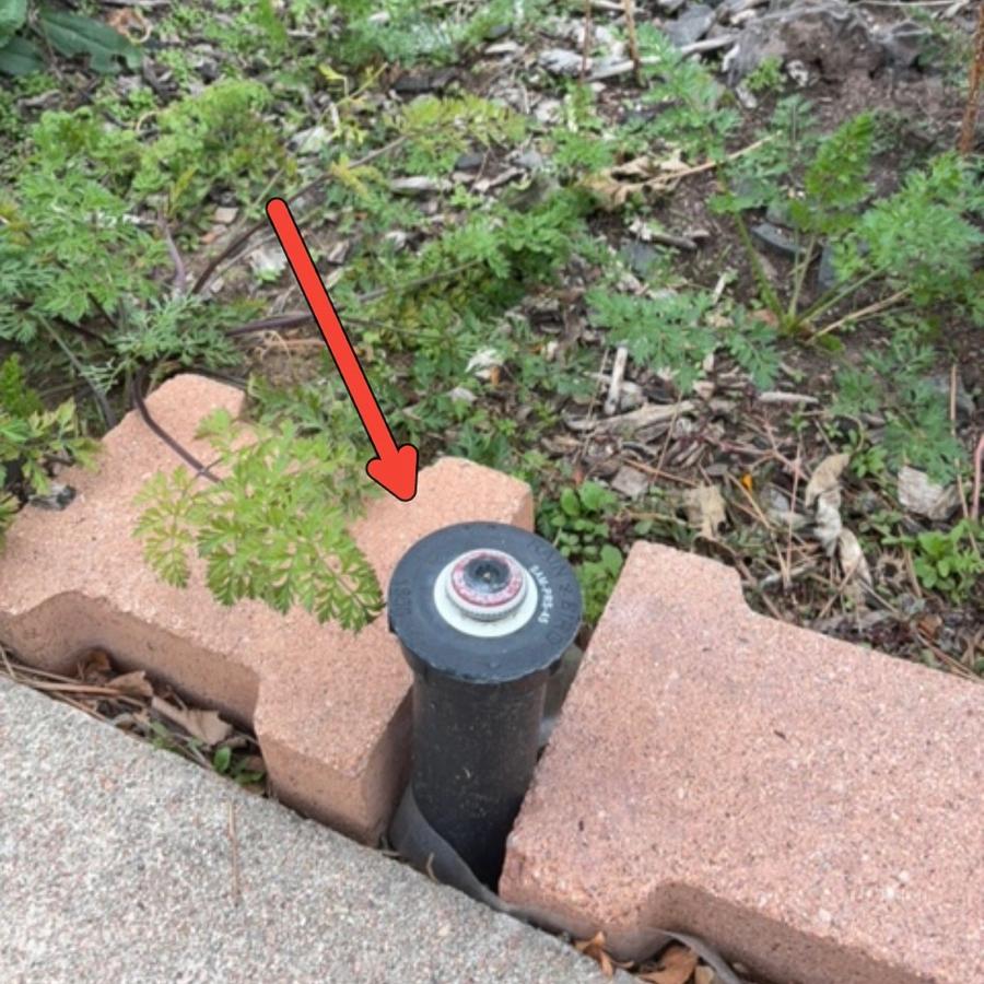 Annotated site photo